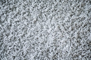 Shaggy carpet